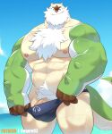  abs anthro beard body_hair chesnaught chest_hair clothing facial_hair flaccid generation_6_pokemon genitals hi_res male muscular muscular_anthro muscular_male nintendo nipples o-ro partially_submerged pecs penis penis_base pokemon pokemon_(species) pubes solo speedo swimwear 