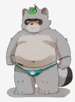  2023 absurd_res anthro asian_clothing belly black_nose blush canid canine clothing east_asian_clothing fundoshi grey_body hi_res japanese_clothing kemono leaf male mammal moobs navel nipples overweight overweight_male raccoon_dog simple_background solo tanuki tongmung24 underwear young 