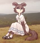  beastars canid canine canis clothing dress elronya female field hi_res juno_(beastars) mammal sitting solo wolf 