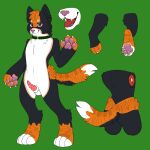  anthro hi_res male model_sheet solo 