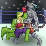  2022 alligator alligatorid anthro bottomwear boxing boxing_gloves boxing_shorts brok_(character) brok_the_investigator clothing crocodilian dart_(brok_the_investigator) drumersama duo fighting_ring green_body grey_body handwear hi_res male mammal murid murine muscular muscular_male rat reptile rodent scalie shorts sport 