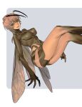  1girl antennae arthropod_girl blue_background bodysuit breasts brown_eyes brown_hair covered_nipples highres long_hair looking_at_viewer medium_breasts monster_girl multicolored_background muni_(fdrk) open_mouth original solo wasp_girl white_background wings 