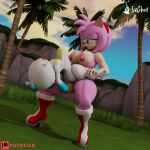  amy_rose andromorph chao_(sonic) hero_chao intersex sega sonic_the_hedgehog_(series) 