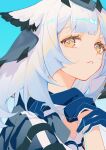  1girl aqua_background arknights blue_gloves dress gloves goggles goggles_around_neck hands_up indai_(3330425) long_hair looking_at_viewer owl_ears parted_lips portrait ptilopsis_(arknights) simple_background solo white_dress white_hair yellow_eyes 