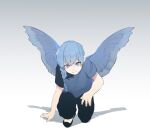  1boy arm_support asymmetrical_shirt bare_arms black_footwear black_pants blue_eyes blue_hair blue_shirt blue_wings braid child chinese_clothes feathered_wings flats full_body gradient_background grey_background hand_on_ground highres long_hair looking_at_viewer male_child male_focus nanahyaku_torako on_one_knee original pants shadow shirt short_hair_with_long_locks short_sleeves side_braid single_braid solo toggles white_background wings 