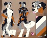  absurd_res australian_shepherd canid canine canis domestic_dog gjaravont herding_dog hi_res kiba_aussie male mammal model_sheet natural_colors pastoral_dog paws sheepdog smile smirk solo spots spotted_body 