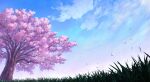  blue_sky branch cherry_blossoms cloud cloudy_sky falling_leaves grass leaf morning no_humans original plant scenery sky tree yu02257951 