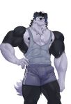  absurd_res anthro bamiroon bodily_fluids border_collie bulge canid canine canis clothing collie domestic_dog herding_dog hi_res humanoid male mammal mason_(trivolmckenley) muscular muscular_male pastoral_dog sheepdog solo sportswear sweat 