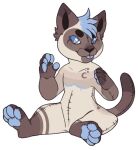  anthro blue_body blue_eyes blue_fur blue_paws blue_scar brown_body brown_fur crescent_(shape) fur male multicolored_body plushie robin_(catte) scar solo spots striped_body striped_fur stripes tan_body tan_fur unknown_artist 