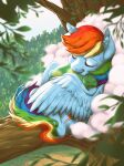  absurd_res blue_body blue_feathers blue_fur cutie_mark digital_media_(artwork) embrace equid equine eyelashes eyes_closed feathered_wings feathers female feral friendship_is_magic fur green_body hair hasbro hi_res hug inner_ear_fluff male mammal multicolored_hair multicolored_tail my_little_pony pegasus rainbow_dash_(mlp) rainbow_hair rainbow_tail reptile scalie shell smile solo tail tank_(mlp) taytinabelle tuft turtle turtle_shell wings 