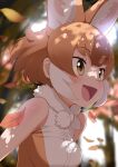  1girl animal_ears autumn bare_shoulders blush bow bowtie brown_hair brown_shirt dhole_(kemono_friends) dog_ears dog_girl dog_tail extra_ears falling_leaves highres kemono_friends leaf light_brown_hair masuyama_ryou multicolored_hair open_mouth shirt short_hair sidelocks sleeveless smile solo tail white_bow white_bowtie white_hair white_shirt yellow_eyes 