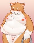  anthro balls belly belly_grab big_belly biped blush bodily_fluids canid canine cheek_tuft chest_tuft deep_navel embarrassed facial_tuft flaccid fox fur genitals gloves_(marking) gradient_background hand_on_stomach hi_res holding_object holding_towel inner_ear_fluff inverted_nipples kemono lifting_belly looking_at_belly looking_at_self looking_down looking_down_at_self male mammal markings moobs multicolored_body multicolored_fur narrowed_eyes navel nipples nude obese obese_anthro obese_male orange_body orange_fur overweight overweight_anthro overweight_male penis portrait simple_background solo sweat sweatdrop tan_background thick_thighs three-quarter_portrait tober_4 towel tuft two_tone_body two_tone_fur weight_conscious weight_gain wet white_body white_fur 