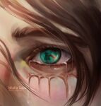  1boy 1girl brown_hair close-up crying crying_with_eyes_open eren_yeager eye_focus eye_reflection eyelashes facial_mark green_eyes hair_between_eyes highres looking_ahead male_focus miellasaku mikasa_ackerman reflection shingeki_no_kyojin short_hair solo tears wind 