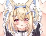  1girl animal_ear_fluff animal_ears blonde_hair blue_hair blush dog_ears dog_girl fur-trimmed_jacket fur_trim fuwawa_abyssgard hair_ornament headphones headphones_around_neck highres hololive hololive_english jacket long_hair looking_at_viewer mr_lobster multicolored_hair open_mouth pink_eyes shirt solo streaked_hair teeth upper_teeth_only virtual_youtuber white_shirt x_hair_ornament 