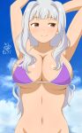  1girl arms_up bare_shoulders bikini bikini_top_only blue_sky blush breasts cleavage closed_mouth cloud collarbone dated dot_nose grey_hair highres idolmaster idolmaster_(classic) idolmaster_million_live! idolmaster_million_live!_theater_days kirie_dou large_breasts long_hair looking_at_another navel no_panties purple_bikini purple_eyes shijou_takane signature sky smile solo swimsuit underboob upper_body 