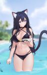  1girl animal_ears bikini black_bikini black_hair blurry cat_ears cat_girl cat_tail commission depth_of_field highres long_hair looking_at_viewer original siun solo swimsuit tail very_long_hair 