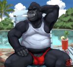  alphasabre anthro ape barely_contained barely_contained_penis barely_visible_genitalia barely_visible_penis beverage chubby_belly chubby_male clothing flaccid genitals gorilla haplorhine hi_res male mammal musclegut napping penis poolside primate relaxing shirt solo speedo swimming_pool swimming_trunks swimwear tank_top tight_clothing topwear tropical 