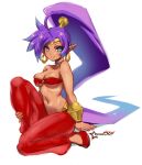  2021 awesomeerick blue_eyes breasts cleavage clothed clothing ear_piercing ear_ring female footwear genie hair hi_res humanoid humanoid_pointy_ears long_hair navel not_furry piercing ponytail purple_hair ring_piercing shantae shantae_(series) shoes signature simple_background sitting smile solo tan_body tan_skin wayforward white_background 