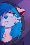  2015 2:3 anthro bani_(ezpups) blue_hair bodily_fluids clothing domestic_cat ears_down ezpups felid feline felis female hair heart_(marking) hi_res hoodie long_hair mammal pivoted_ears solo tears topwear 