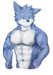  abs absurd_res anthro asleepchef biceps blue_body blue_eyes canid hair hi_res male mammal multicolored_body muscular muscular_male navel nipples nude pecs simple_background solo white_background yakumo_(asleepchef) 