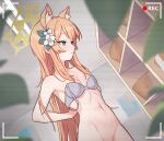  1girl animal_ear_fluff animal_ears arms_behind_back bare_shoulders battery_indicator blue_archive blue_eyes blush bottomless bra breasts bright_pupils camera cleavage collarbone flower hair_flower hair_ornament halo indoors long_hair mari_(blue_archive) navel no_panties orange_hair out-of-frame_censoring parted_lips recording removing_bra small_breasts solo special_cat standing underwear underwear_only undressing video_camera viewfinder voyeurism white_flower white_pupils 