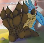  3_toes absurd_res avian breath_of_the_wild feathers feet foot_fetish foot_focus grass hi_res kass_(tloz) looking_at_viewer male nintendo pawssionate plant rito rock soles solo the_legend_of_zelda toes tree 