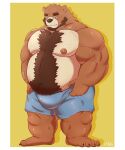  2023 anthro bear belly big_belly brown_body brown_fur bulge clothing fur hfengfffff hi_res kemono male mammal moobs nipples overweight overweight_male simple_background solo underwear 