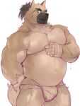  anthro belly biceps brown_body brown_fur bulge canid canine canis clothing domestic_dog eyebrows fur green_eyes lifewonders male mammal musclegut navel nipples pecs salz_sop scar solo thick_eyebrows thong tokyo_afterschool_summoners underwear yasuyori 