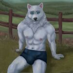  anthro biceps blue_eyes boxers_(clothing) bulge canid canine canis clothing fur hi_res landscape looking_at_viewer male mammal muscular muscular_male nature neck_tuft nipples outside relaxing sitting smile solo tuft underwear white_body white_fur wolf zwodder 