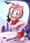  1girl amy_rose black_gloves christmas cuteytcat dress gloves green_eyes highres holding holding_letter holly letter looking_at_viewer open_mouth outdoors pinecone red_dress red_footwear snow sonic_(series) tree 