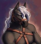  anthro draft_horse elenmory equid equine fur gaze hair heavy hi_res horse male mammal muscular portrait solo stable straps tack white_hair 