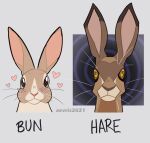  &lt;3 2021 aevris ambiguous_gender blush blush_lines duo english_text feral front_facing hare lagomorph leporid mammal rabbit text 