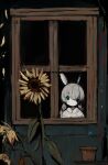  1girl animal_ears bottle commentary female_child flower green_eyes grey_hair highres long_hair looking_at_viewer looking_outside original shirokujira solo sunflower symbol-only_commentary tagme window wine_bottle yellow_flower 