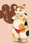  anthro asian_clothing blush clothed clothing domestic_cat east_asian_clothing felid feline felis fundoshi fur japanese_clothing japanese_text male mammal navel overweight overweight_anthro overweight_male rodemaru solo text underwater underwear underwear_only water whiskers white_body white_fur 