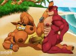  abs activision anal anal_penetration anthro armpit_hair balls bandicoot beach big_penis body_hair butt clenched_teeth crash_bandicoot crash_bandicoot_(series) crunch_bandicoot dasyuromorph dg254 duo erection eyes_closed felid fur genitals hi_res humanoid lying male male/male mammal marsupial muscular muscular_male nipples nude on_side orange_body orange_fur pantherine pecs penetration penis pubes raised_leg red_body red_fur seaside straddling teeth thylacine tiger tiny_tiger vein 