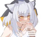  1girl arknights bar_censor censored criss-cross_halter dress erection grey_hair halterneck handjob highres lolifreak looking_at_penis medium_hair orange_eyes owl_ears parted_lips penis portrait ptilopsis_(arknights) simple_background solo_focus white_background white_dress 