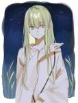  1other androgynous enkidu_(fate) fate/grand_order fate_(series) green_eyes green_hair highres hiyo_pi02 light_green_hair long_hair looking_at_viewer night night_sky robe sky solo toga upper_body very_long_hair white_robe 
