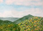  blue_sky cloud cloudy_sky day food fruit fruit_tree highres mountain mountainous_horizon naoy_watercolor original painting_(medium) persimmon plant scenery sky traditional_media tree watercolor_(medium) 