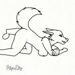  1:1 animated anthro balls breasts canid canine doggystyle female fox from_behind_position fur genitals hepicant mammal penetration penis raised_tail sex short_playtime simple_background sketch solo tail vaginal vaginal_penetration white_background 