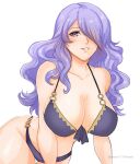  1girl absurdres bare_shoulders bikini breasts camilla_(fire_emblem) commentary fire_emblem fire_emblem_fates grin groin highres large_breasts long_hair looking_at_viewer parted_lips purple_bikini purple_eyes purple_hair sierra117renner simple_background smile solo stomach swimsuit very_long_hair white_background 