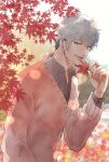  1boy absurdres autumn_leaves black_shirt blurry blurry_background brown_sweater day gradient_hair grey_hair highres ichinose_ginga la_corda_d&#039;oro_starlight_orchestra male_focus multicolored_hair open_mouth outdoors shiratama_(srtm_gy) shirt smile solo sweater upper_body yellow_eyes 