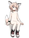  1girl animal_ear_fluff animal_ears arknights arms_at_sides black_bracelet black_choker blue_eyes choker embarrassed flat_chest fox_ears fox_girl fox_tail grey_hair high_tops highres kamihine navel nipples nude oripathy_lesion_(arknights) shoes short_hair sitting sneakers solo sussurro_(arknights) tail 