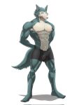  anthro beastars bulge canid canine canis clothing embarrassed hi_res legoshi_(beastars) male male/male mammal muscular muscular_male pinup pose redarvie speedo swimwear wolf 