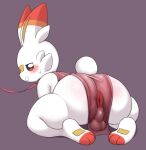  anthro anus backsack balls big_butt butt generation_8_pokemon genitals hi_res huge_butt leash leash_and_collar male nintendo pokemon pokemon_(species) pururing scorbunny solo 