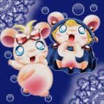  blonde_hair blue_eyes bow_accessory cricetid duo female hair hamster hamtaro_(series) lapis_(hamtaro) lazuli_(hamtaro) mammal rodent 