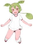  1girl animal_ears blush brown_eyes buruma clenched_hands collarbone commentary_request dot_nose fang full_body green_hair gym_shirt gym_uniform highres huuapainter kneehighs long_hair looking_at_viewer no_pupils open_mouth red_buruma shirt short_hair_with_long_locks short_sleeves simple_background socks solo voicevox white_background zundamon 