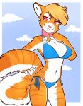  2015 anthro bell bell_collar bikini biped blonde_hair blue_bikini blue_clothing blue_sky blue_swimwear border breasts clothed clothing cloud collar countershade_face countershade_fur countershade_torso countershading digital_media_(artwork) eyebrows eyelashes felid female frankie_(modjo) fur hair hi_res holding_tail mammal markings navel orange_body orange_fur outside pantherine pink_collar pink_eyes pink_nose side-tie_bikini sky solo string_bikini striped_body striped_fur striped_markings stripes swimwear tail tiger white_body white_border white_fur zyira 