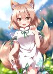  1girl :d animal_ear_fluff animal_ears bangs blurry blurry_background blush breasts brown_eyes day depth_of_field fox_ears fox_tail glint green_ribbon hair_between_eyes hand_up highres holding holding_test_tube kudamaki_tsukasa light_brown_hair light_particles looking_at_viewer medium_breasts neck_ribbon open_mouth outdoors puffy_short_sleeves puffy_sleeves ribbon ruu_(tksymkw) short_sleeves smile solo tail test_tube touhou white_romper 