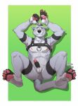  anthro arcticlion blush cuff_(restraint) erection handcuffs harness hi_res looking_at_viewer lying male mammal metal_cuffs muscular mustelid olive_(xylious) on_back otter restraints simple_background solo spread_legs spreading 