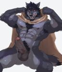  anthro balls beard black_hair body_hair canid canine canis chest_hair cloak clothing erection facial_hair flexing foreskin front_view fur genitals grey_body grey_fur hair hi_res humanoid_genitalia humanoid_penis licking licking_lips looking_at_viewer male mammal meocondainhan muscular muscular_anthro muscular_male penis pubes scar sitting solo tongue tongue_out were werecanid werecanine werewolf wolf 